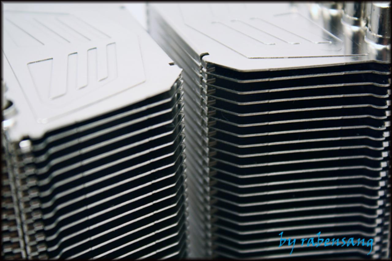 [07/04/2009] Prolimatech Megahalems (11)