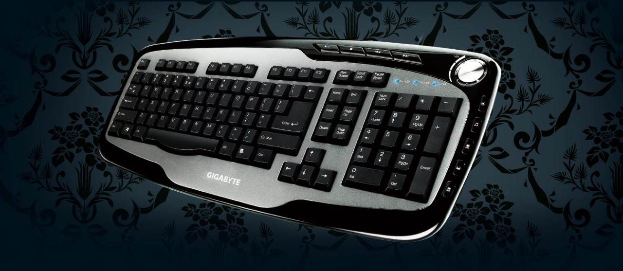 [13/04/2009] Gigabyte GK-K6800 Multimedia Keyboard (8)