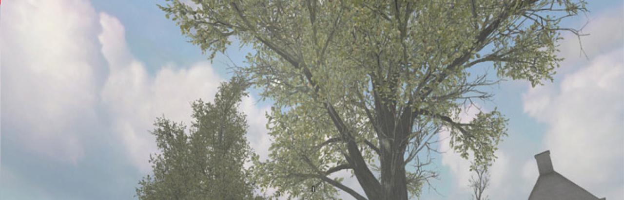 [11/05/2009] Call of Duty 2 (2005): Vegetation