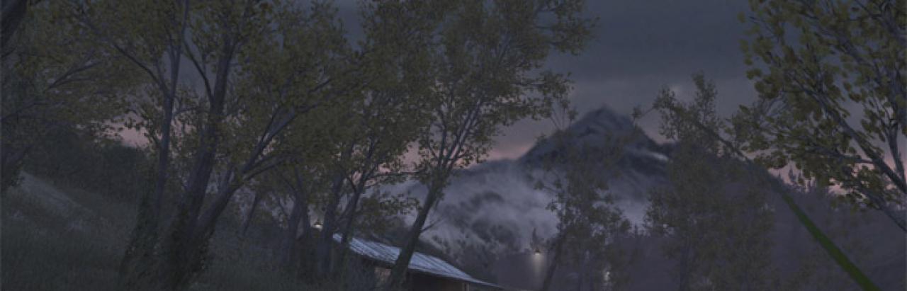 [11/05/2009] Call of Duty 4: Modern Warfare 1 (2007): Vegetation