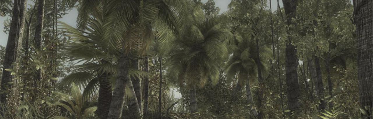 [11/05/2009] Call of Duty 5 (2008): Vegetation