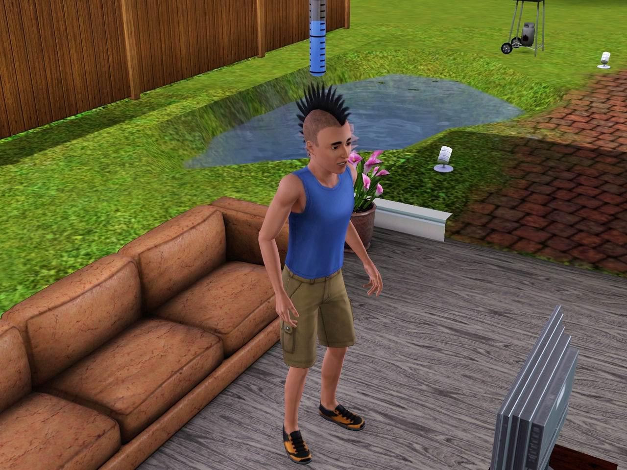Die Sims 3: Medium Detail (8)