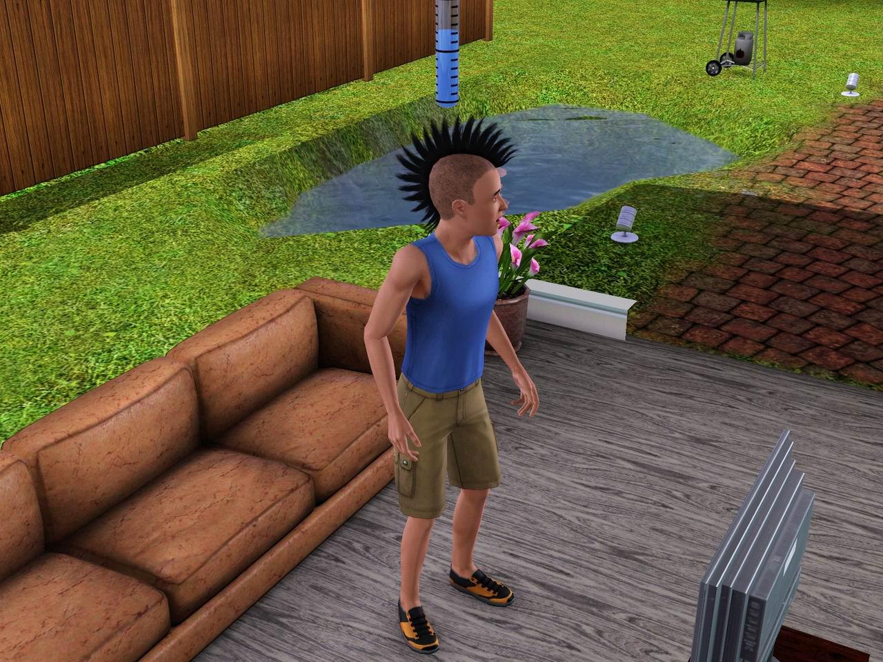 Die Sims 3: High Detail (9)