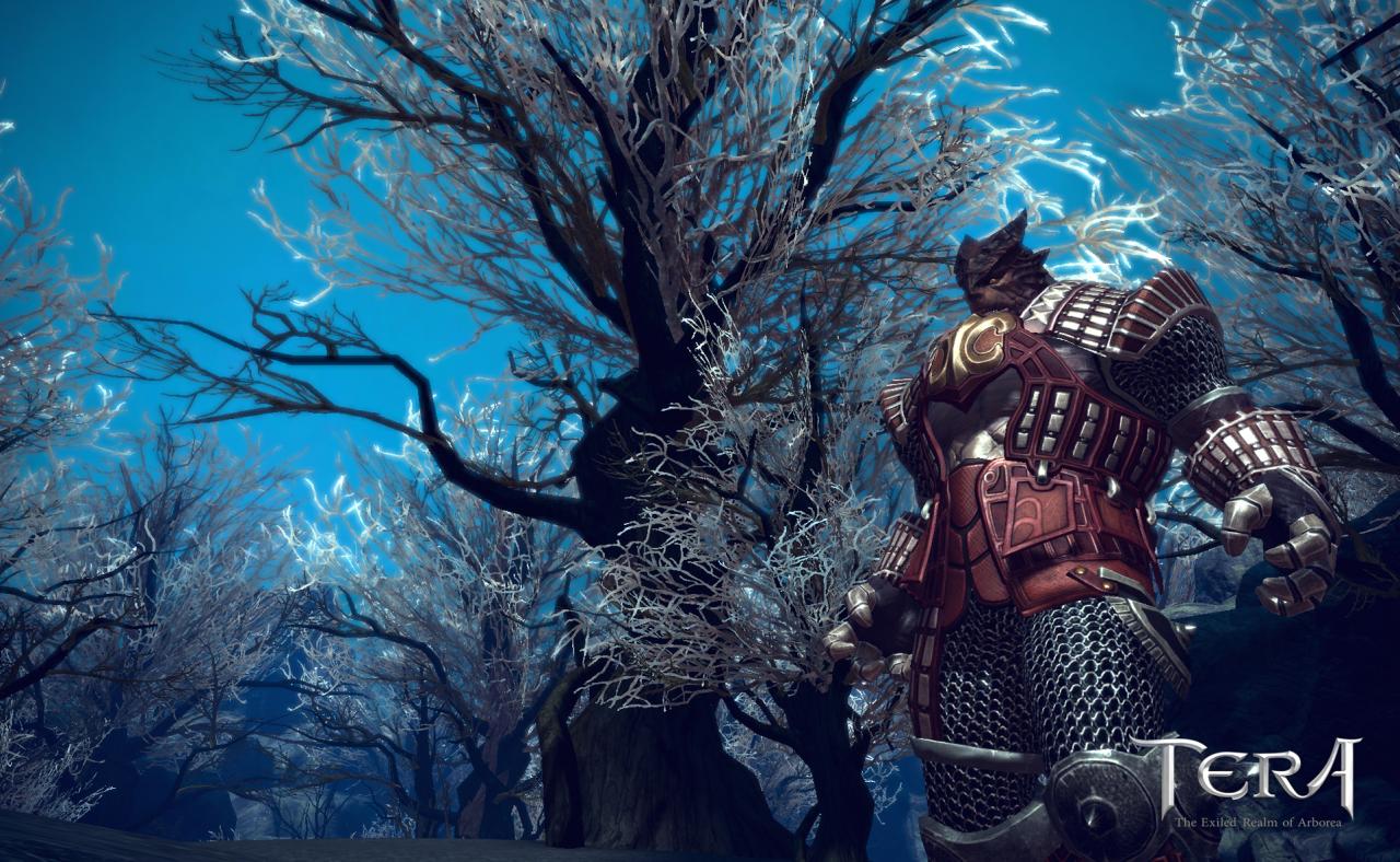 [10/05/2009] Tera: Unreal-Engine-3-Rollenspiel (24)