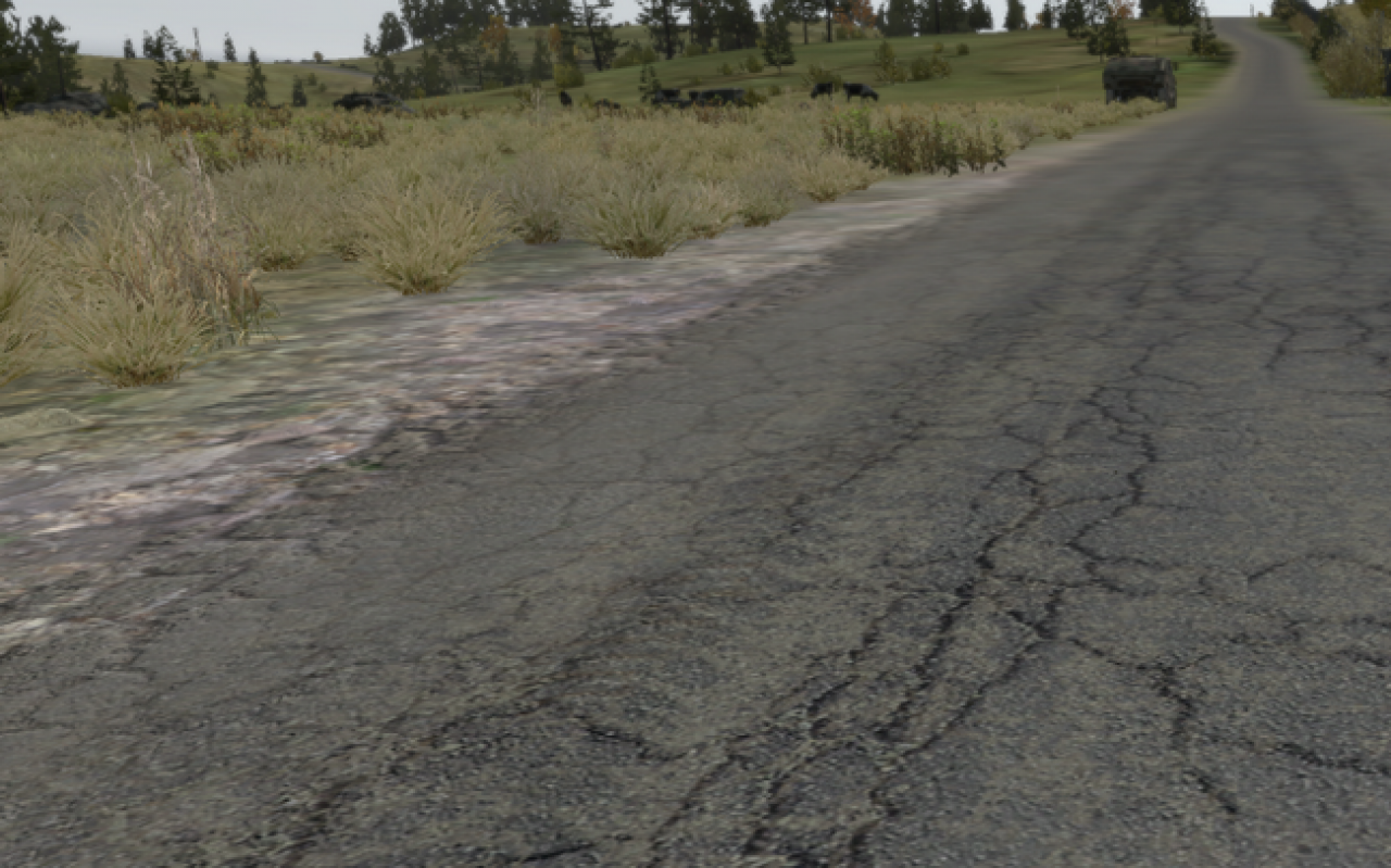 ArmA 2 (16)