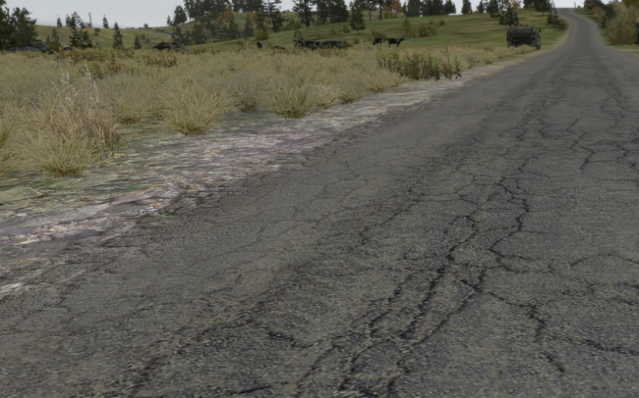ArmA 2 (15)