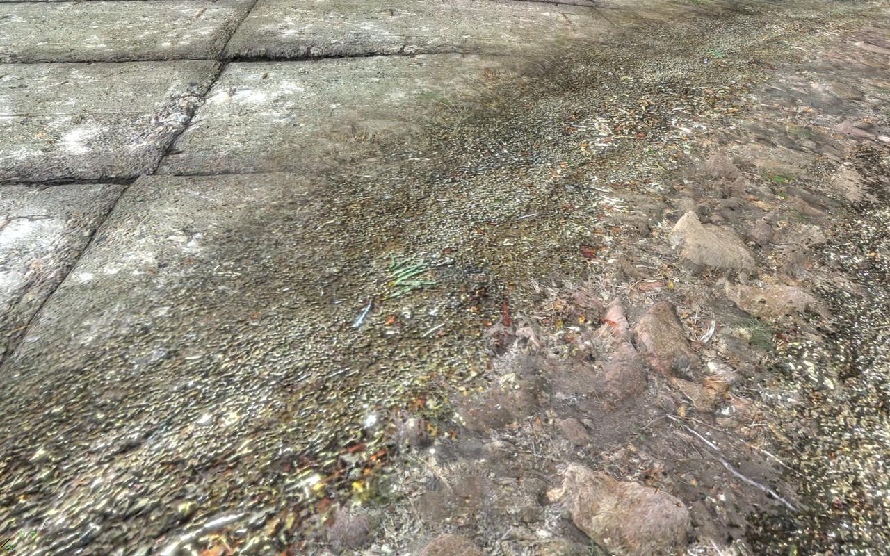 [28/05/2009] ArmA 2 mit maximalen Details