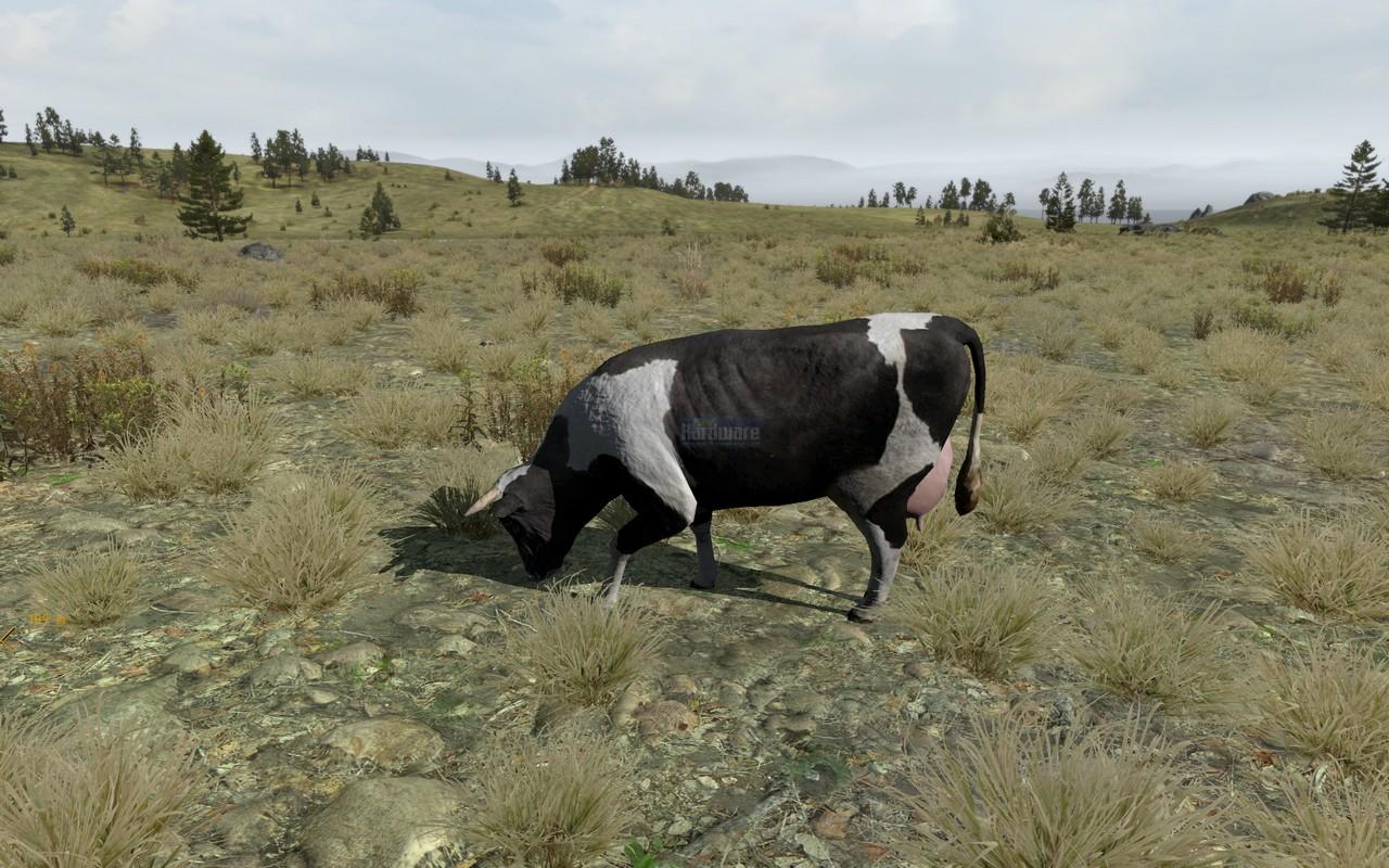 [28/05/2009] ArmA 2