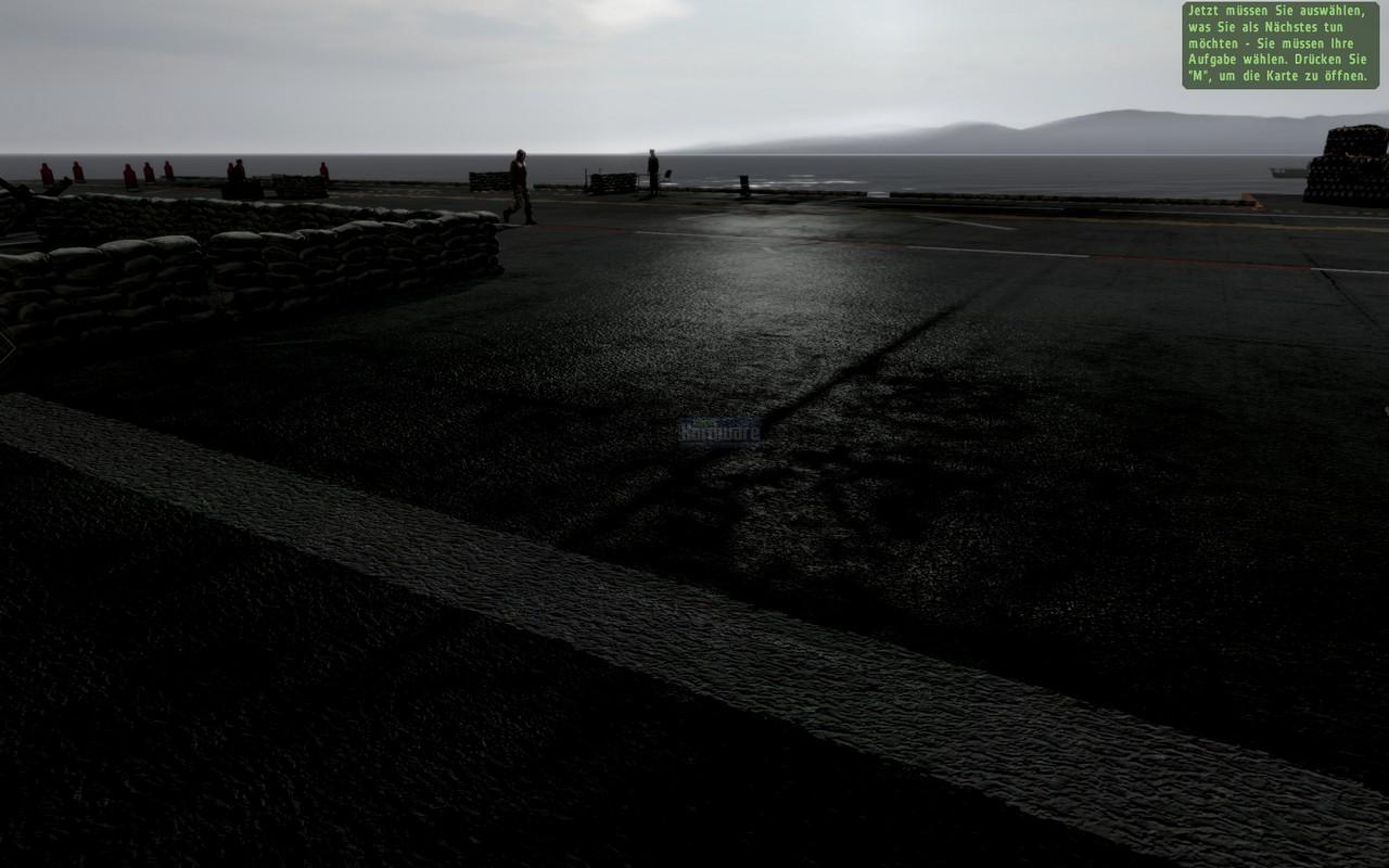 [28/05/2009] ArmA 2 mit maximalen Details