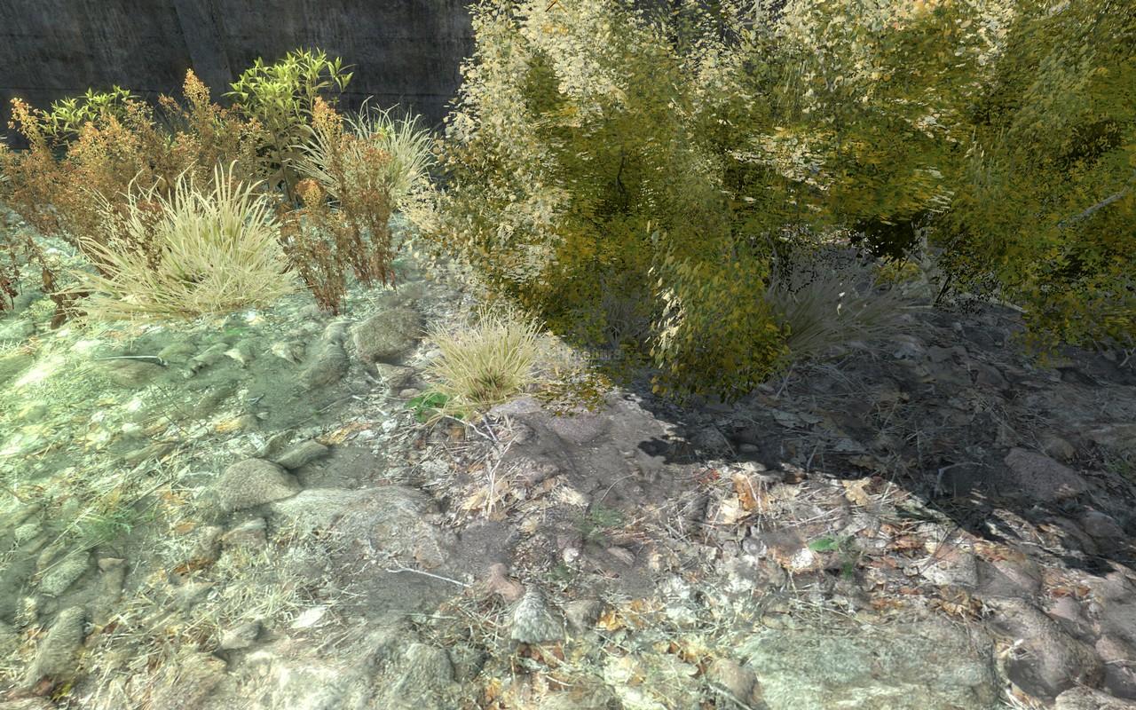 [28/05/2009] ArmA 2 mit maximalen Details