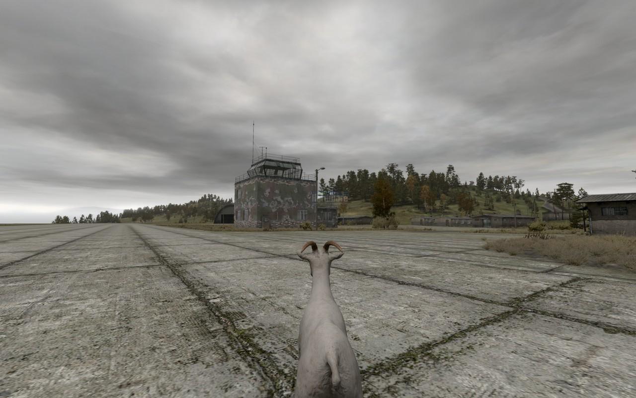 [28/05/2009] ArmA 2 (14)