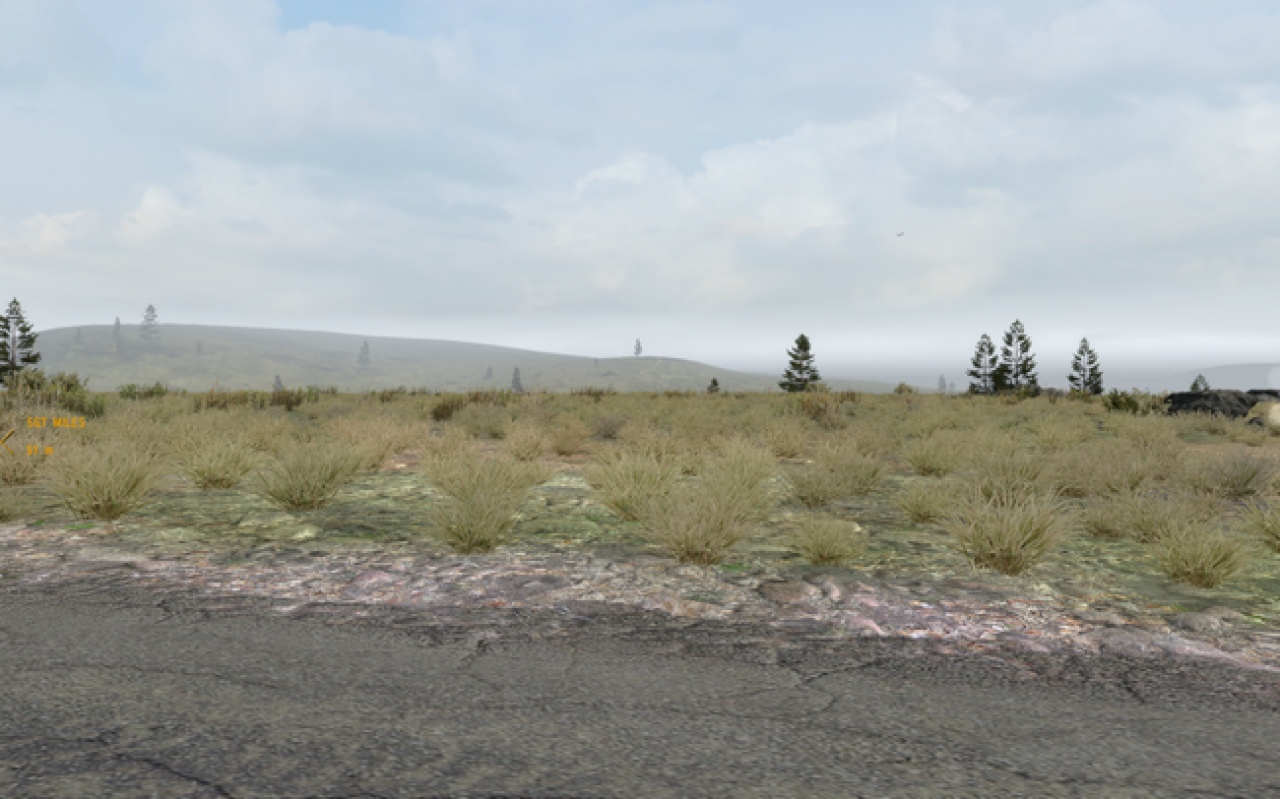 ArmA 2 (20)