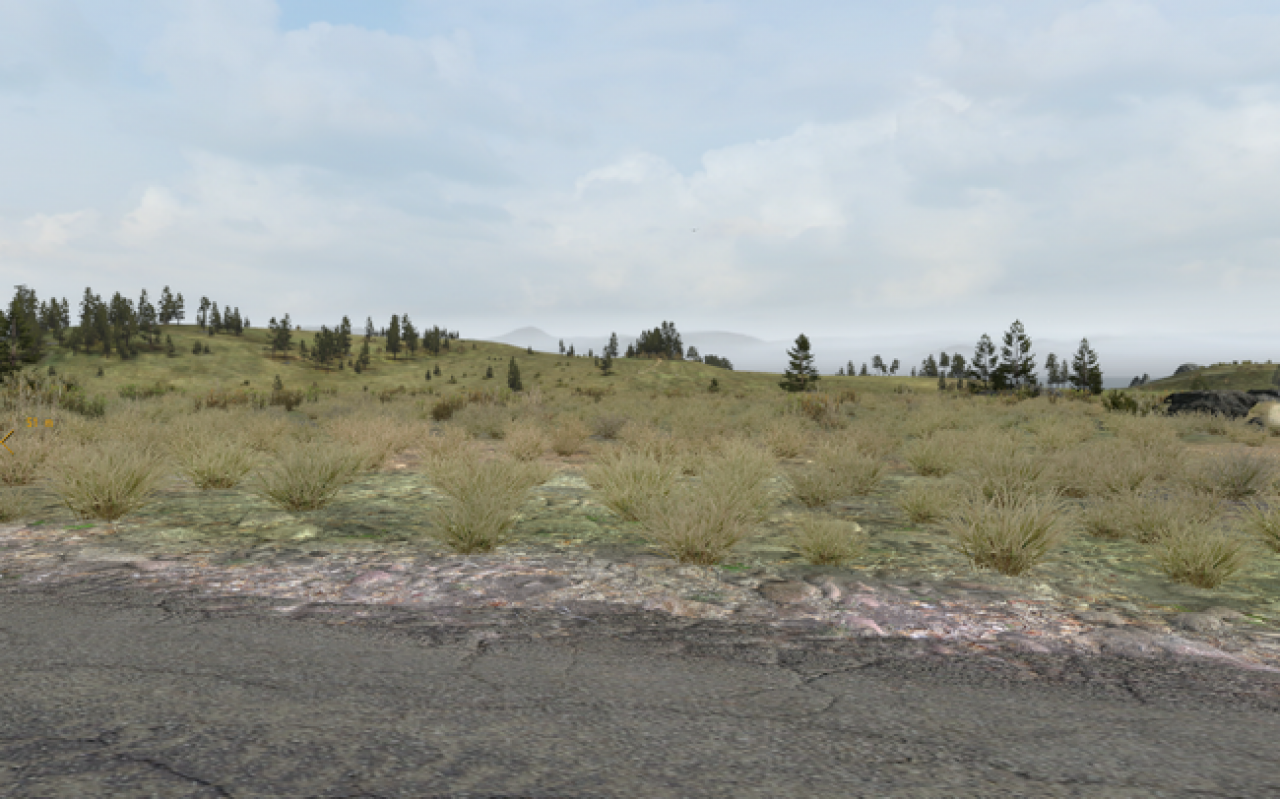 ArmA 2 (19)