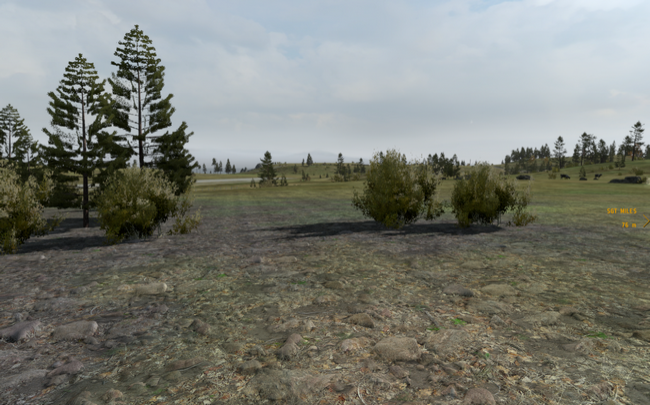 ArmA 2 (24)