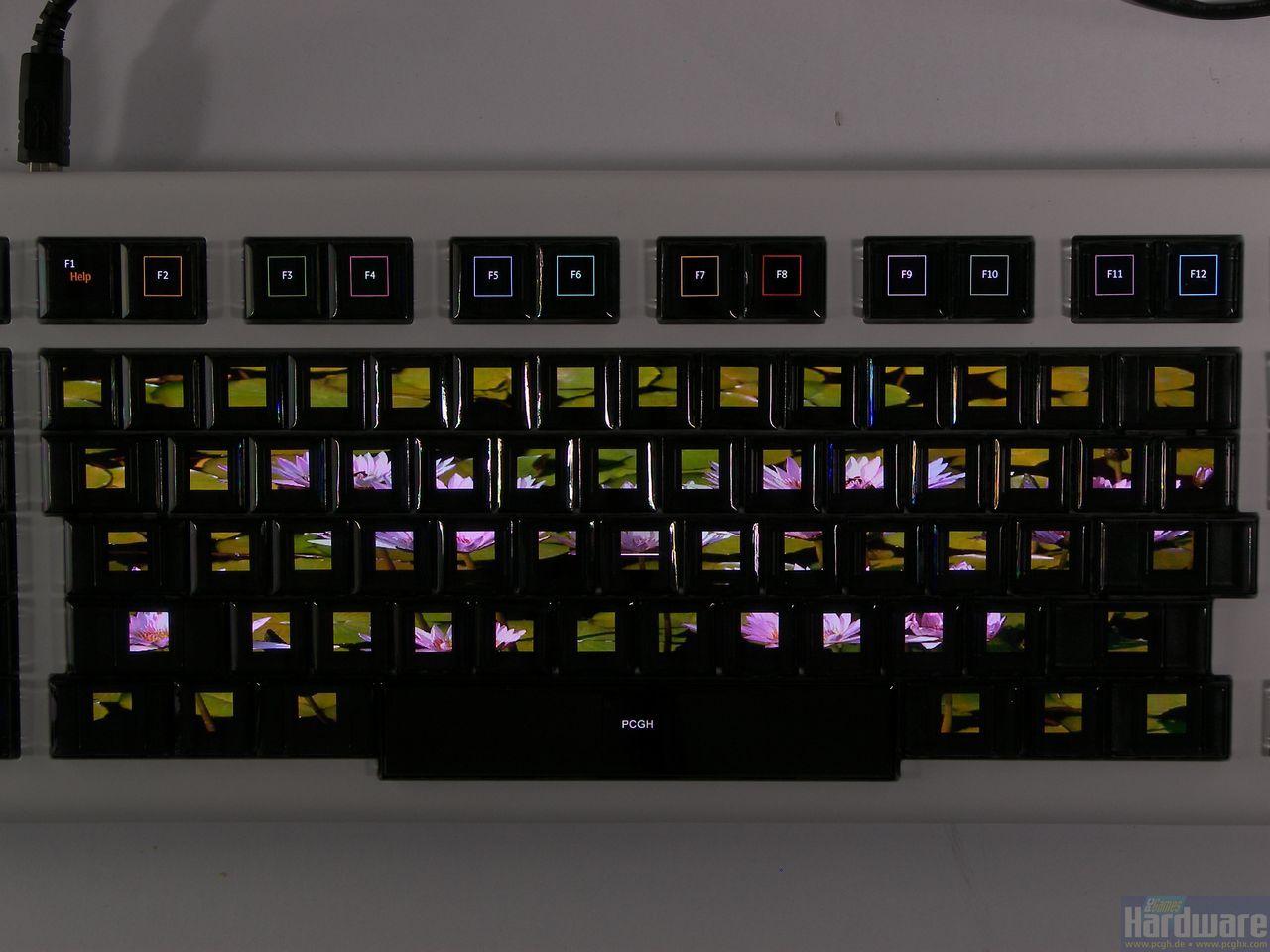 [15/05/2009] Neu im Testlabor: Die Edel-Tastatur Optimus Maximus (20)
