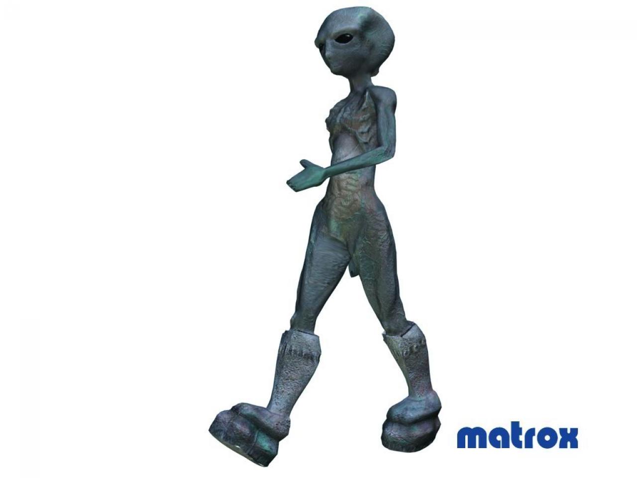 [13/05/2009] Matrox Parhelia-512: Displacement Mapping (19)