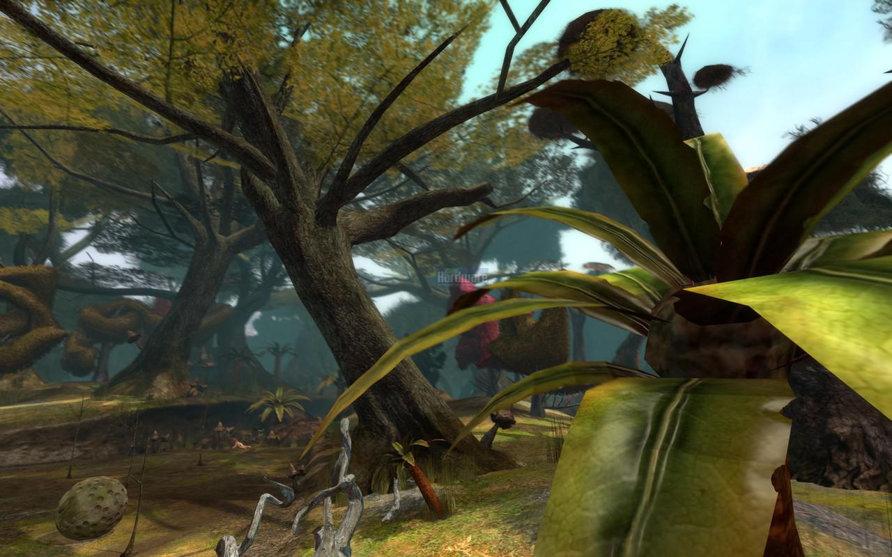 [05/05/2009] Zeno Clash: Trotz Source-Engine weiß die Vegetation zu gefallen