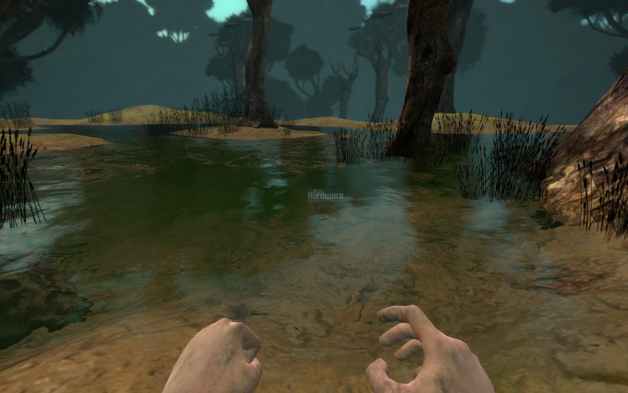 [05/05/2009] Zeno Clash: Das typische HL2-Wasser