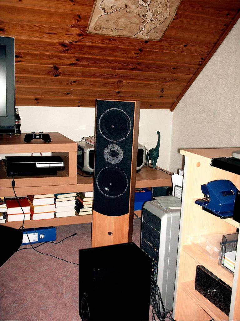 [29/05/2009] PCGH Extreme: Canton GLE 490 Standlautsprecher im Test (4)