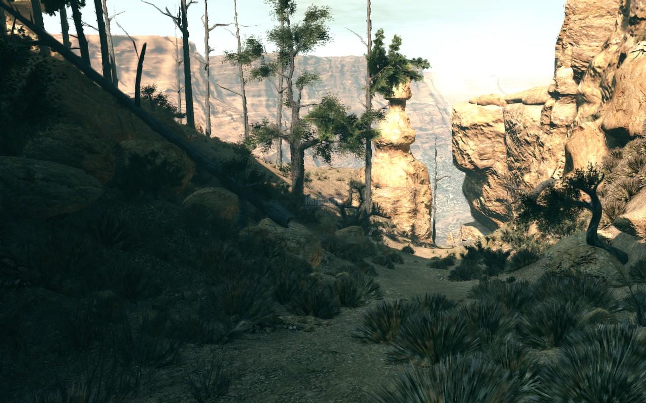 [16/06/2009] Call of Juarez - Bound in Blood: Ein bewaldeter Canyon