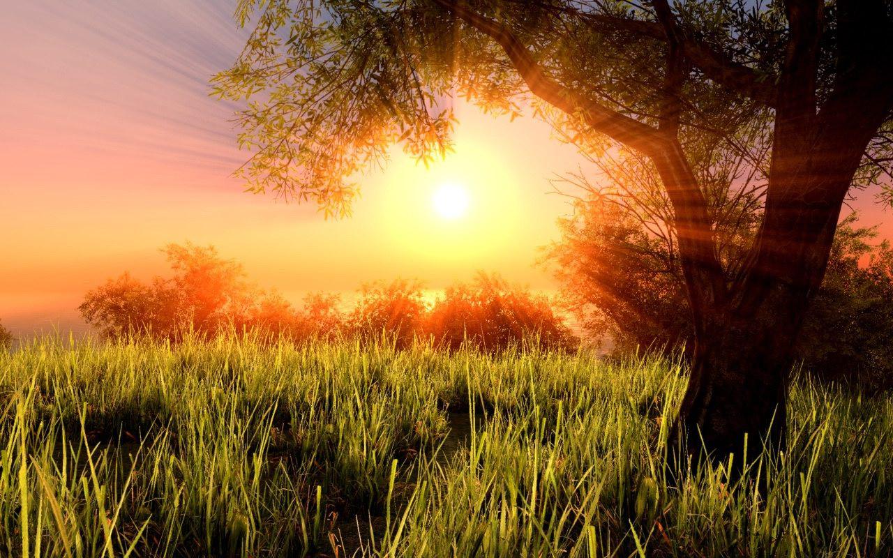 [10/06/2009] Cryengine 2-Modding: Mögliche Grafik für Crysis 2? (23)