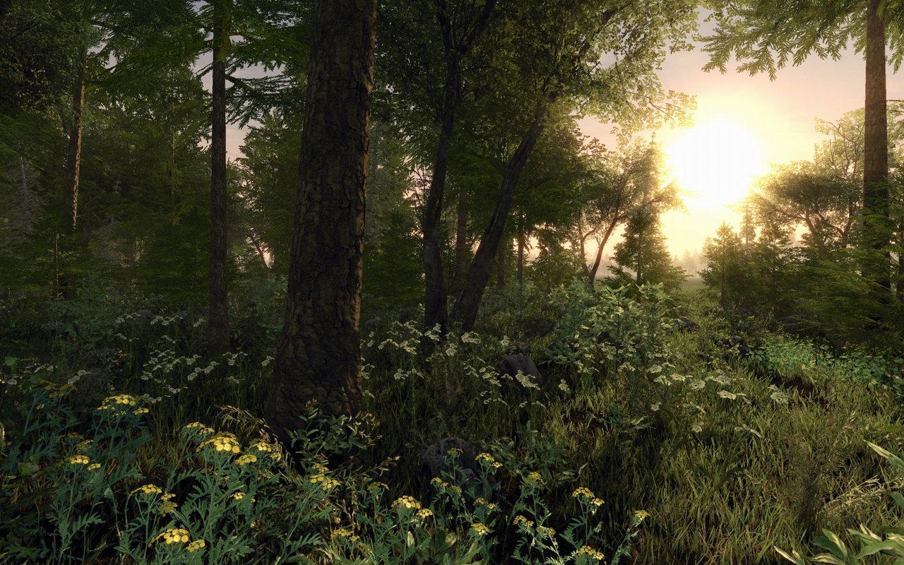 [14/06/2009] Cryengine 2-Modding: Mögliche Grafik für Crysis 2? (43)