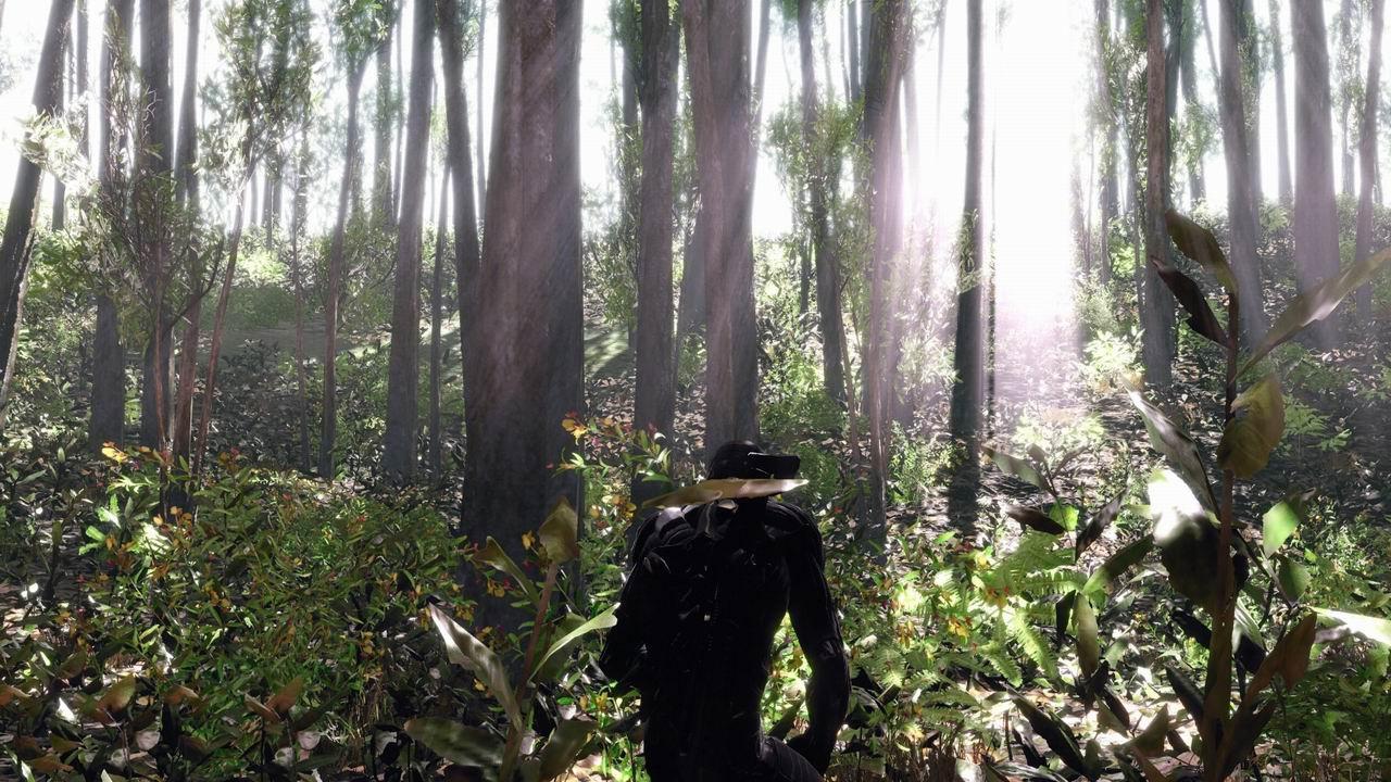 [10/06/2009] Cryengine 2-Modding: Mögliche Grafik für Crysis 2? (5)