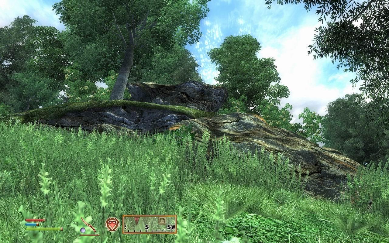 [30/06/2009] TES IV - Oblivion