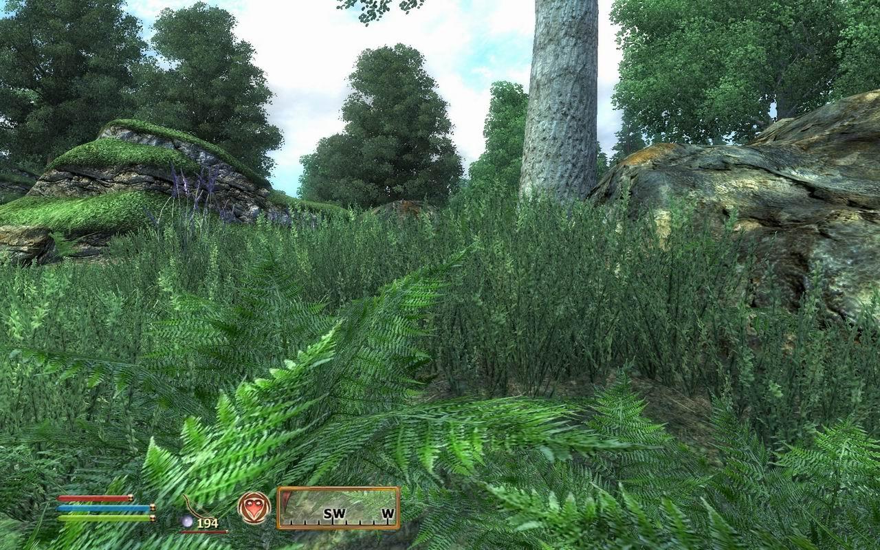 [30/06/2009] Oblivion: Spiele-Klassiker per Mods getuned (18)
