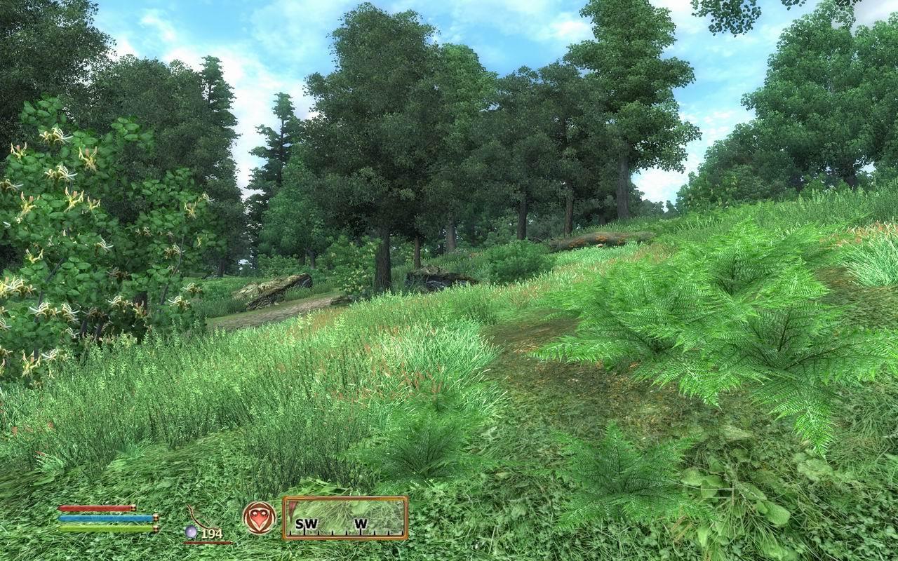 [30/06/2009] Oblivion: Spiele-Klassiker per Mods getuned (19)