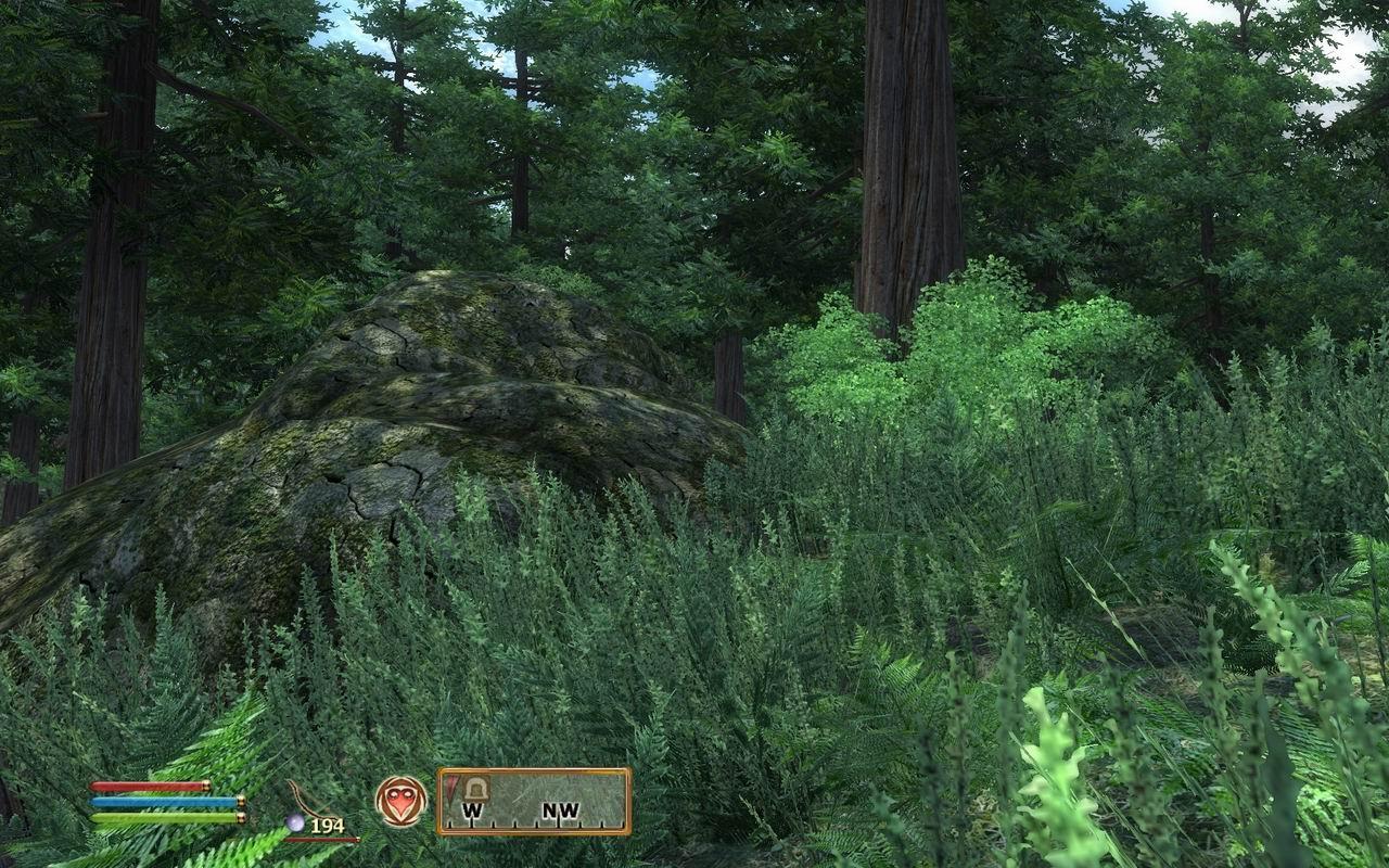 [30/06/2009] Oblivion: Spiele-Klassiker per Mods getuned (24)