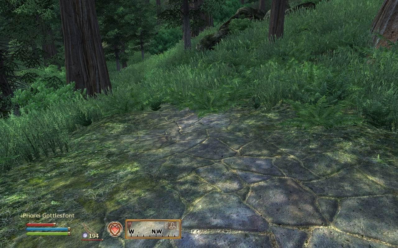 [30/06/2009] Oblivion: Spiele-Klassiker per Mods getuned (26)