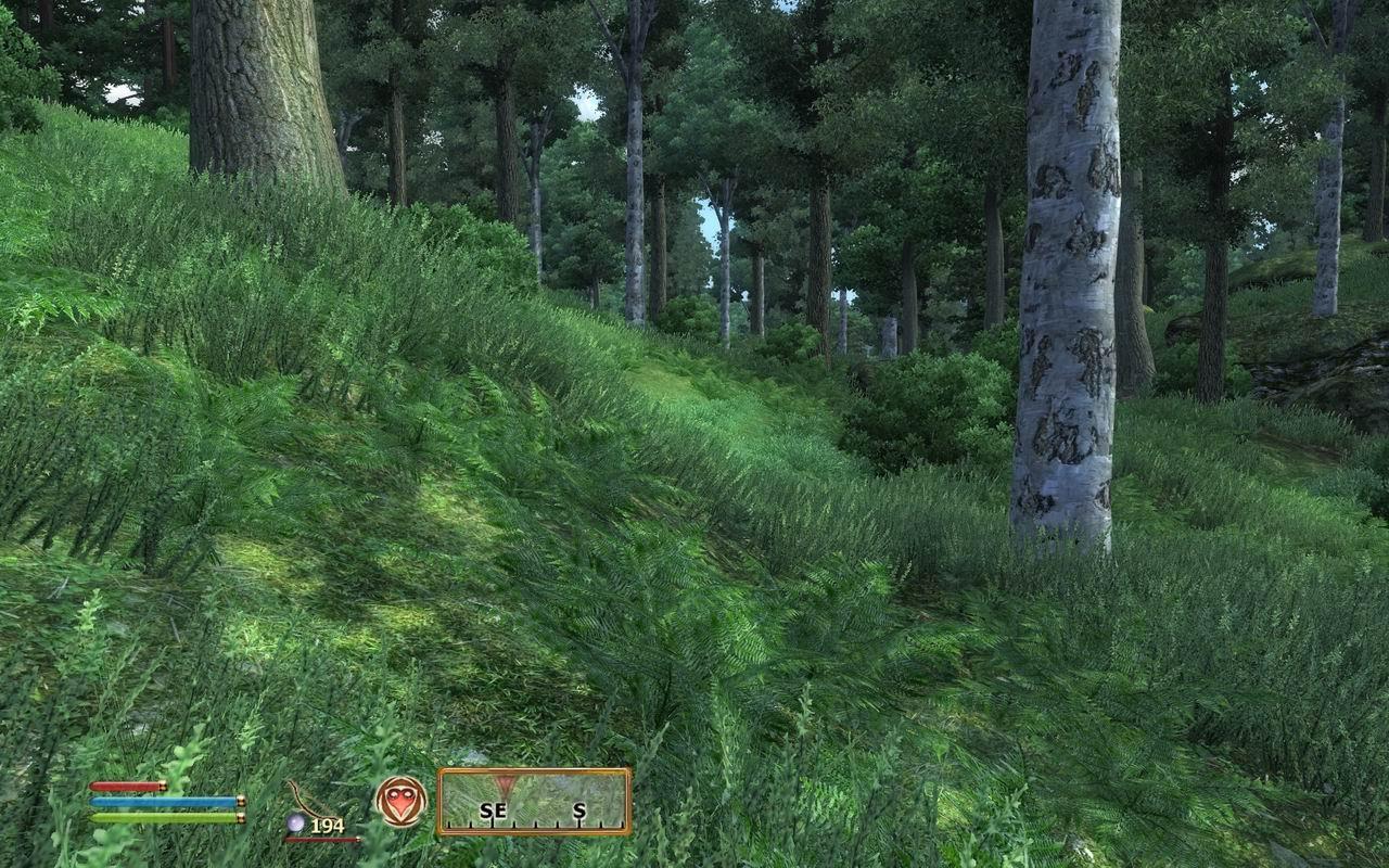[30/06/2009] The Elder Scrolls III: Oblivion [mit Mods]
