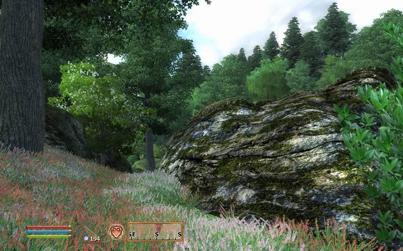 [30/06/2009] The Elder Scrolls III: Oblivion [mit Mods]