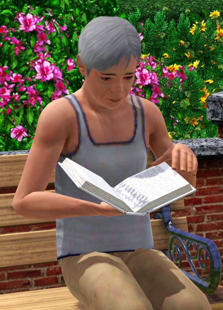 [10/06/2009] Die Sims 3 (7)