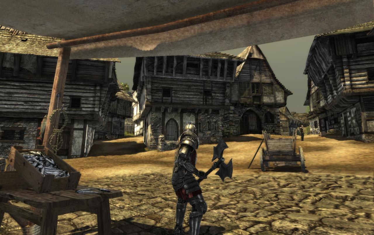 [07/06/2009] Gothic 4 Arcania (16)