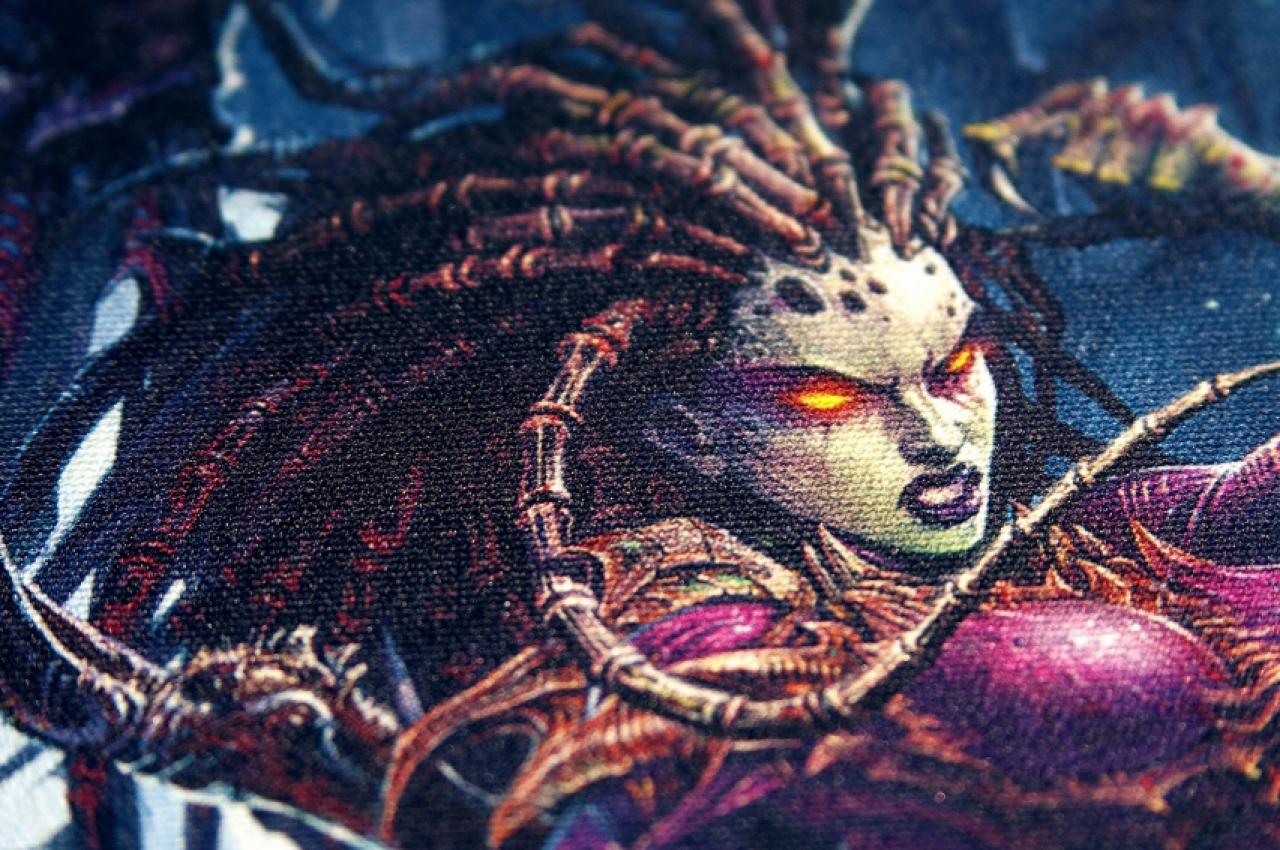 [22/07/2009] Mit Terran Marine und Kerrigan vs. Zeratul stellt Steelseries zwei neue Motive der limited-QCK-Mauspad-Edition vor.