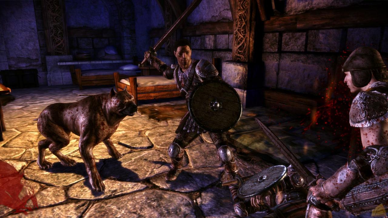 [24/07/2009] Dragon Age Origins - Die besten Screenshots (56)