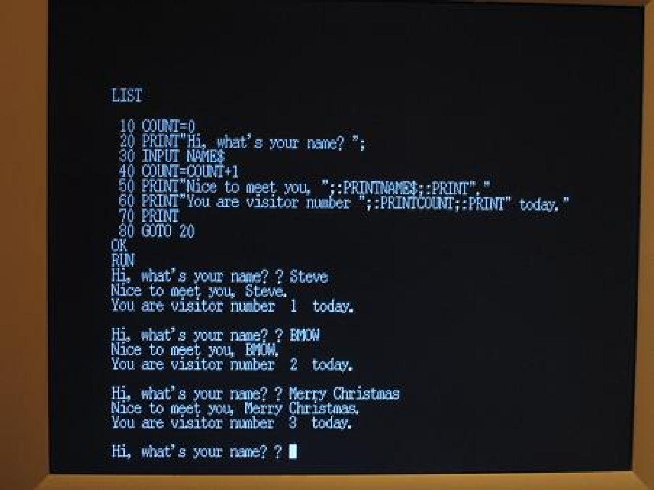 [03/07/2009] BMOW (Big Mess of Wires): Homebrew-CPU von Steve Chamberlin (6)