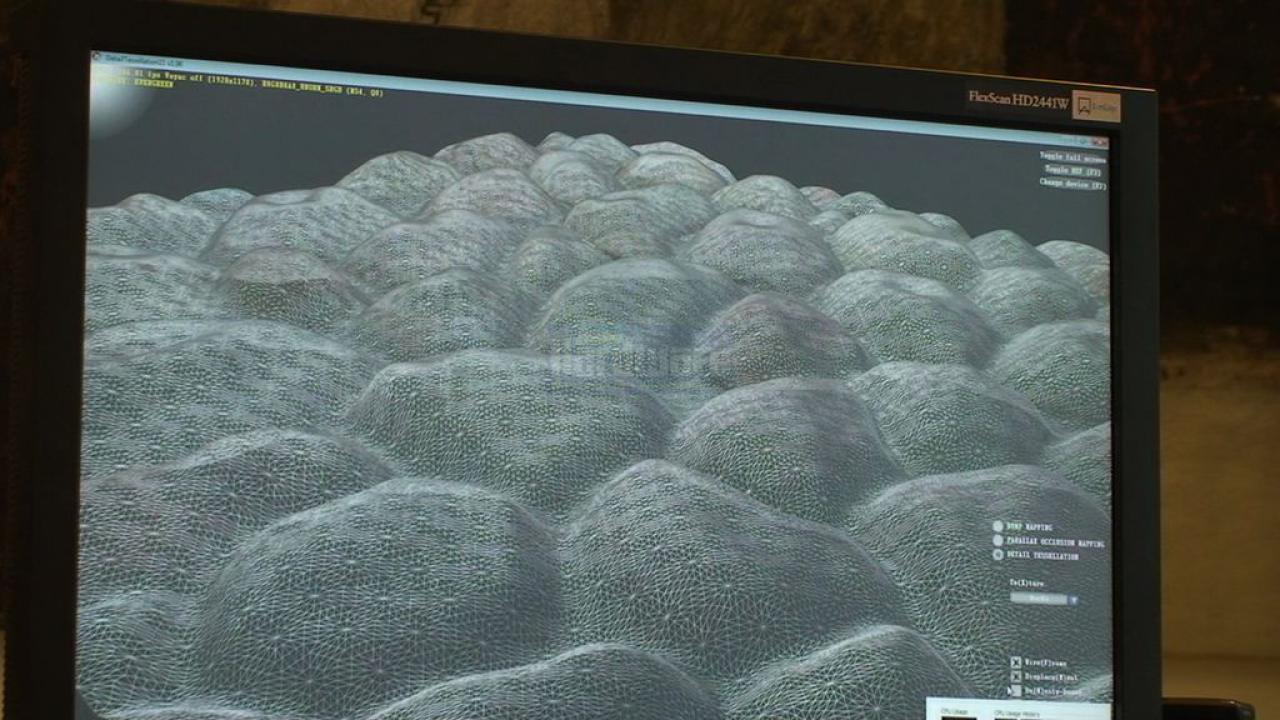 [08/07/2009] DirectX 11 Tesselation-Demo: Wireframe-Modus mit DX11-Tesselation
