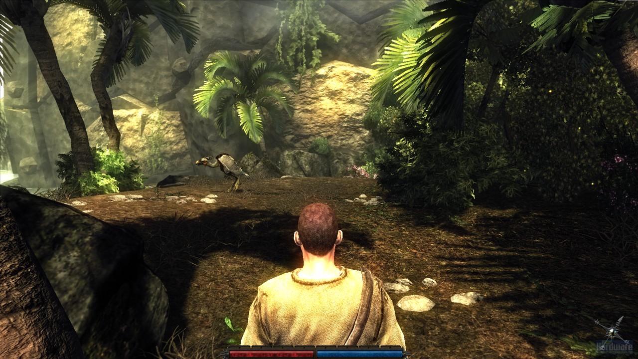 [07/08/2009] Risen: Erste Impressionen (6)