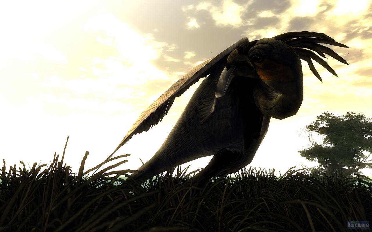 [27/08/2009] Risen (19)