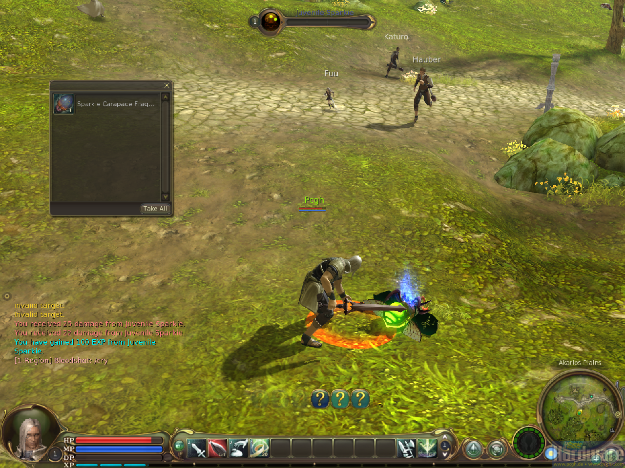[07/09/2009] Bilder aus der Aion-Beta (2)