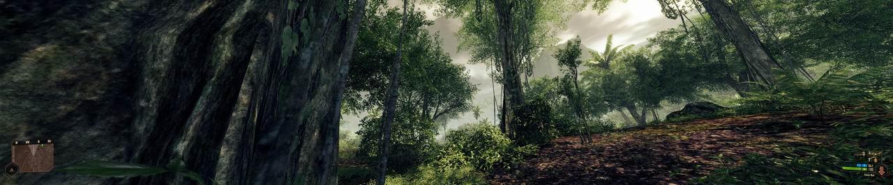 [28/09/2009] Crysis mit Eyefinity (15)
