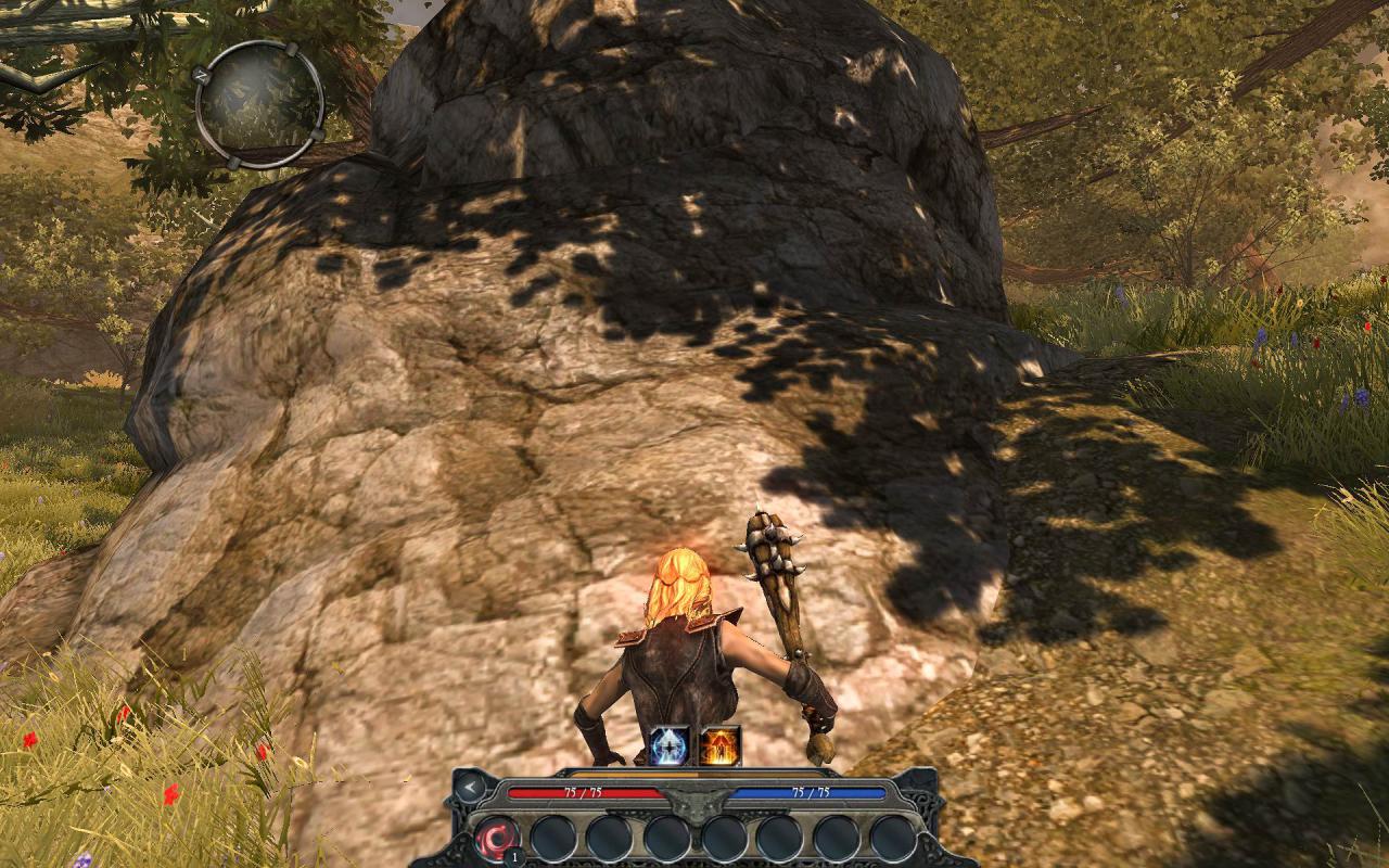[29/09/2009] 2009: Divinity 2 (Die dichte Vegetation wirft ganz nette Schatten)