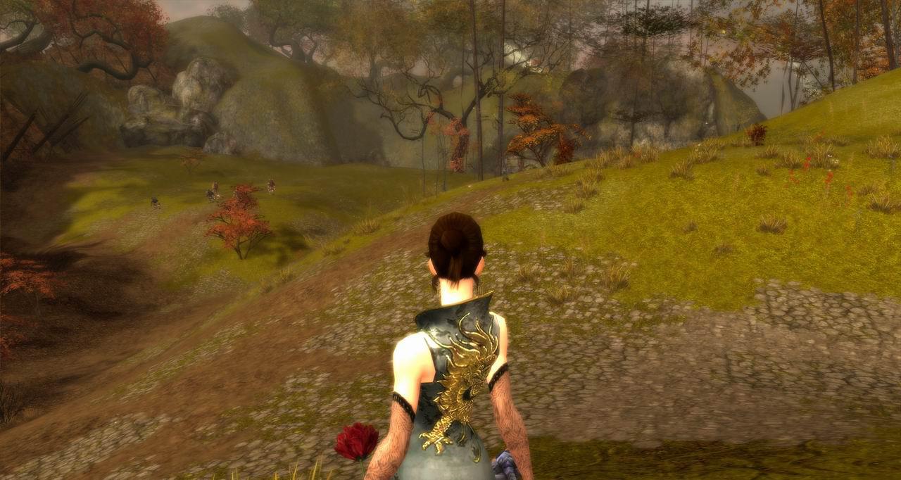 [28/09/2009] Guild Wars mit Eyefinity