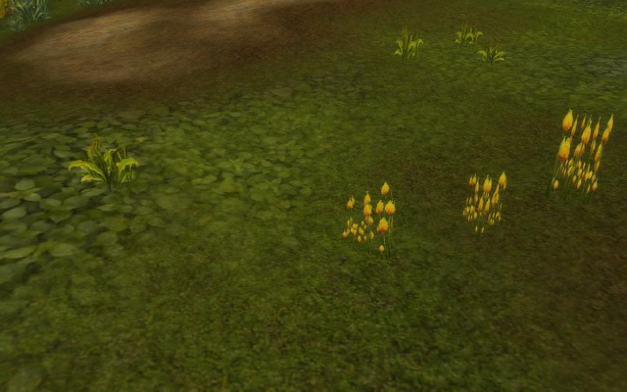 Runes of Magic Chapter II - The Elven Prophecy - Bildvergleich