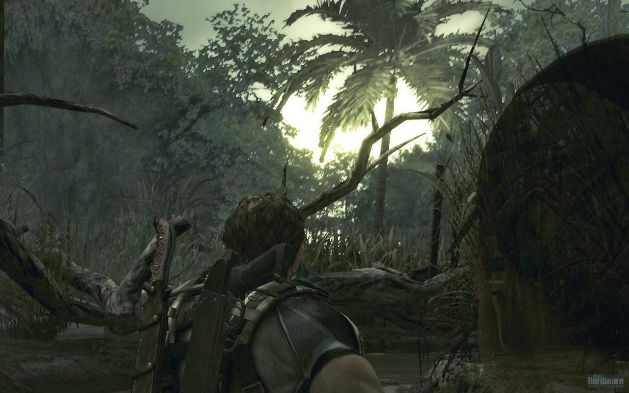 [16/09/2009] Resident Evil 5: Fiese Hintergrund-Bitmaps und eine wenig gelungene Vegetationsdarstellung trüben die Optik