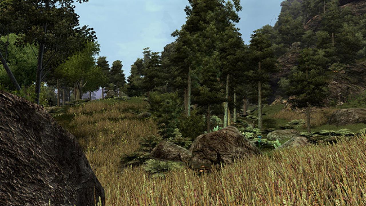 Gothic 3: Walddarstellung