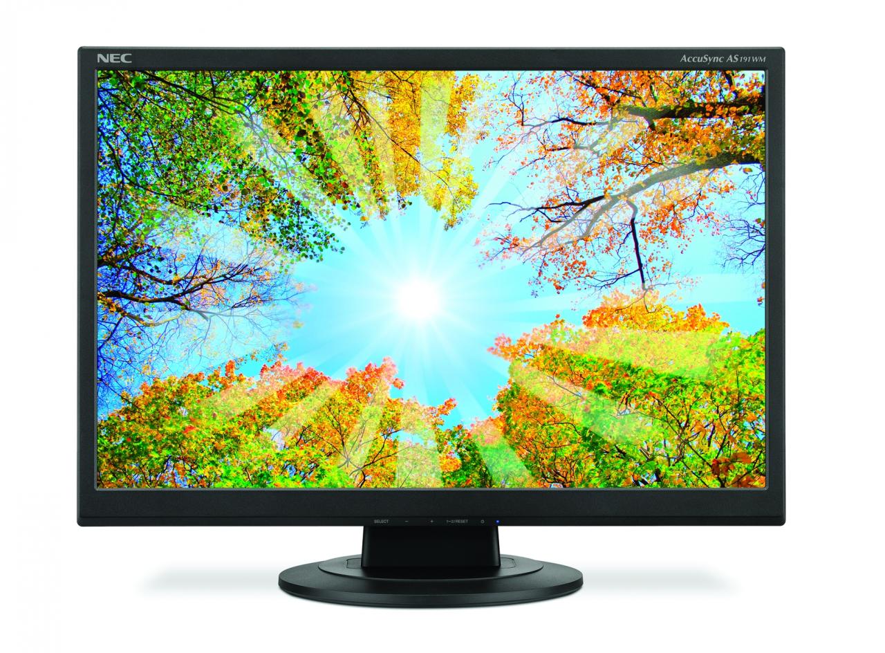 [02/10/2009] NEC AccuSync AS191WM